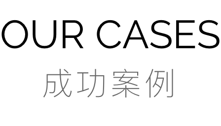 成功案例